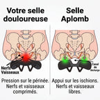 Aplomb Sport