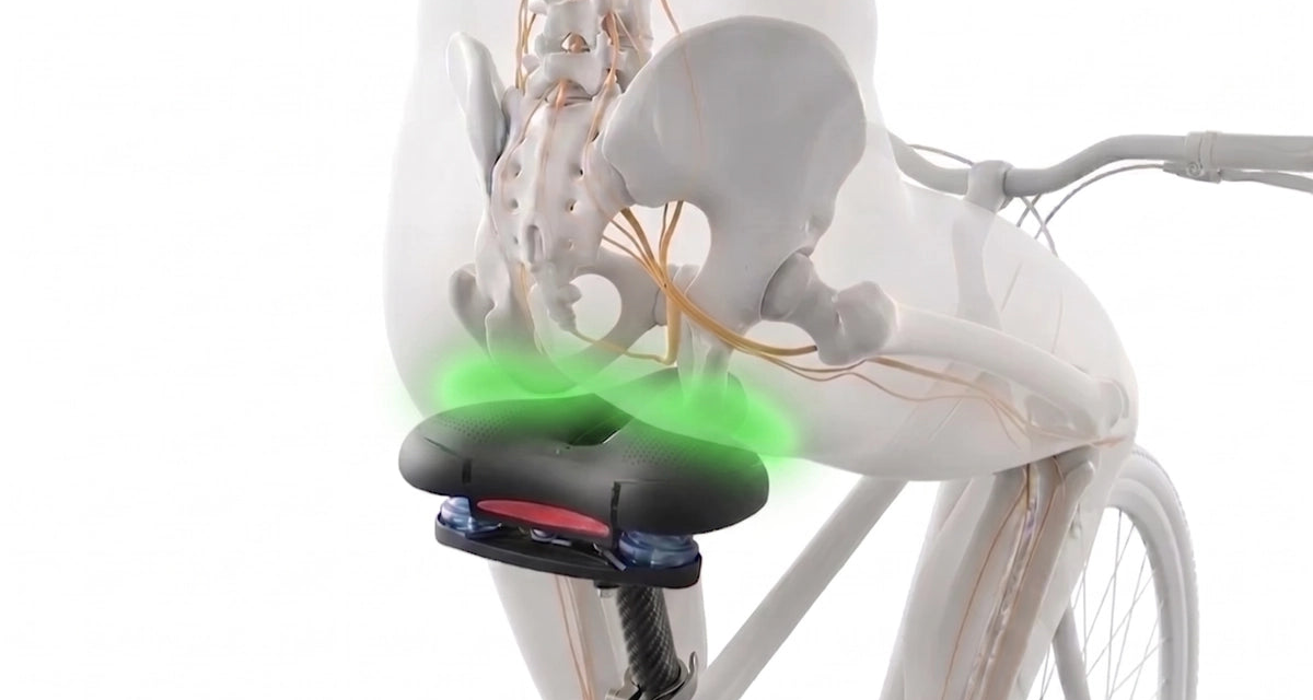 Vue de dessus, même échelle : ischions posés en plein sur l'assise de 190 mm