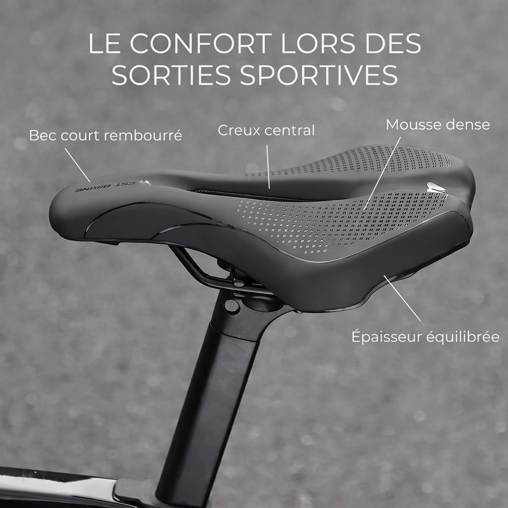 Aplomb Sport