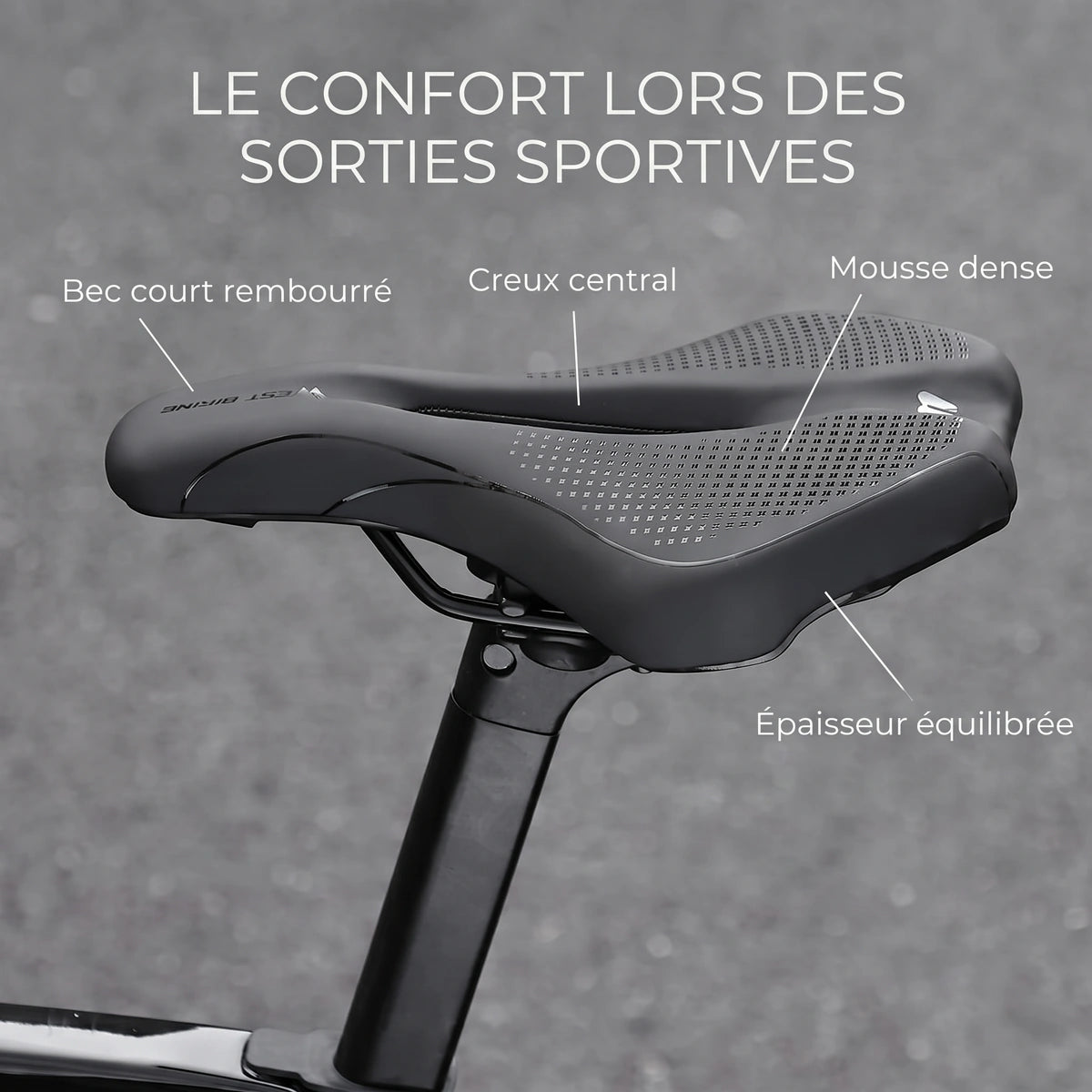Aplomb Sport